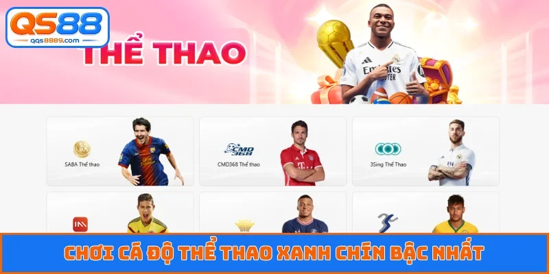 Chơi cá độ thể thao xanh chín bậc nhất